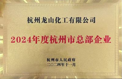 2024年度杭州市总部企业